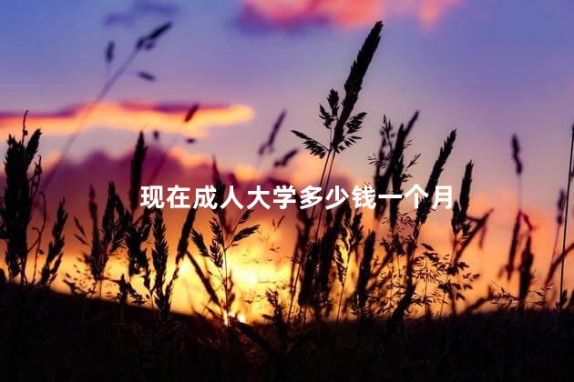 现在成人大学多少钱一个月