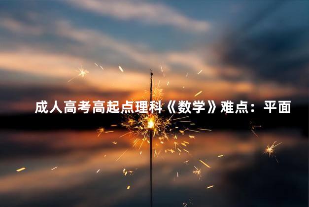成人高考高起点理科《数学》难点：平面与直线
