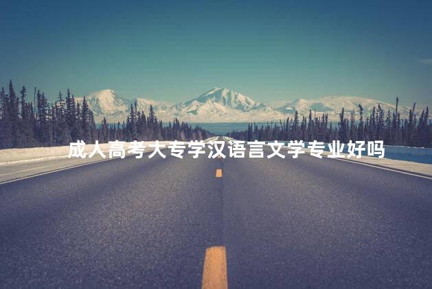 成人高考大专学汉语言文学专业好吗