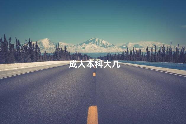成人本科大几
