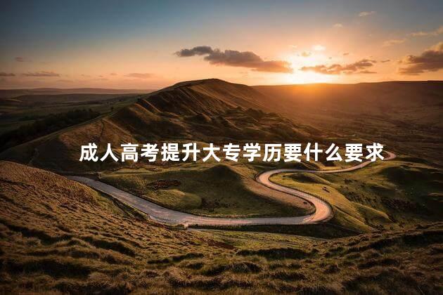 成人高考提升大专学历要什么要求