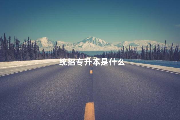 统招专升本是什么