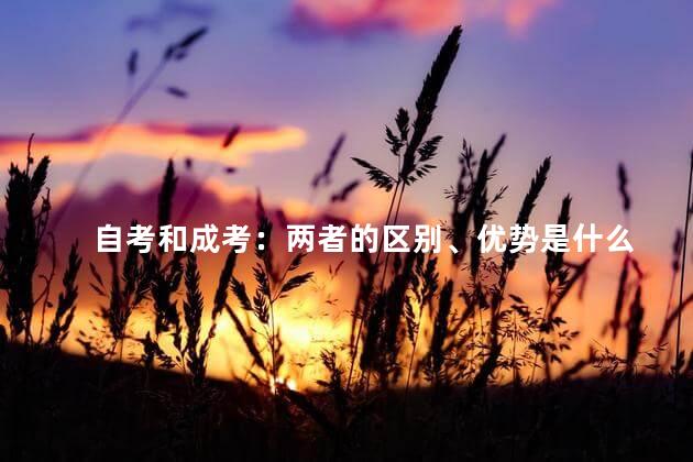 自考和成考：两者的区别、优势是什么