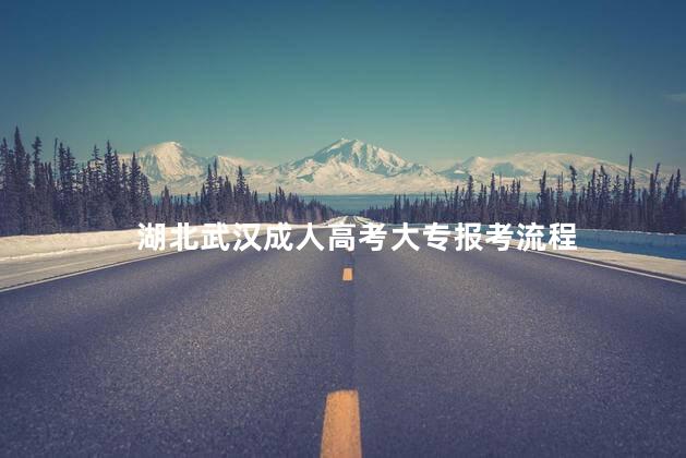湖北武汉成人高考大专报考流程